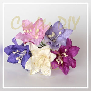 Lily - Purple Shades (10 pieces)